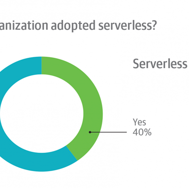 실 사용자들이 말하는, 서버리스 도입의 득과 실